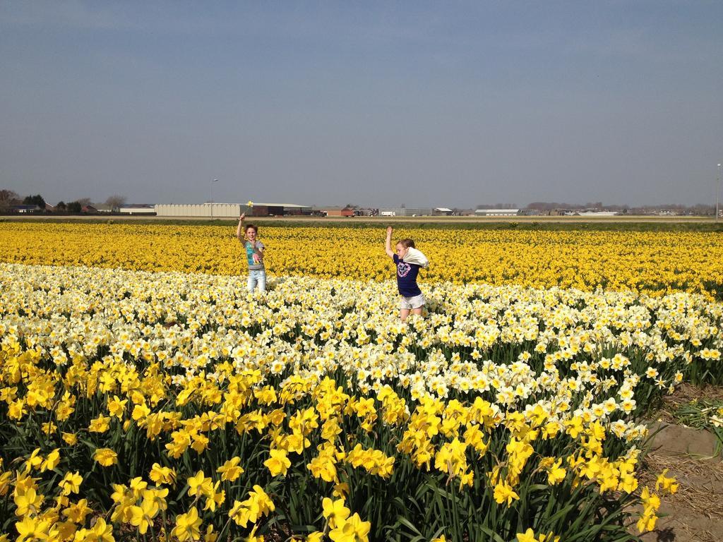Nicolette Apartments Katwijk aan Zee ภายนอก รูปภาพ